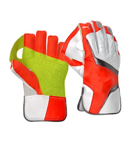 Wicket Keeping Gloves